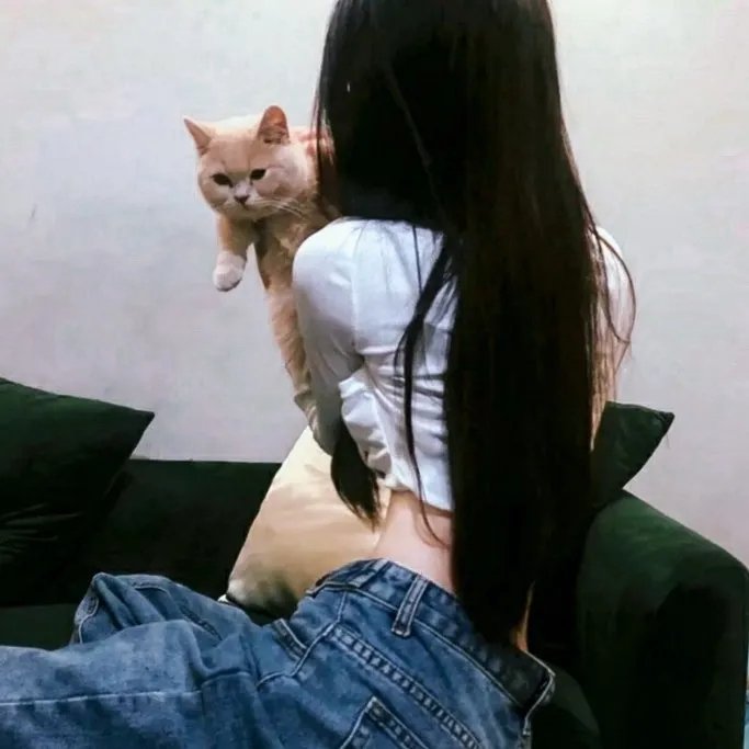 与鲨同游